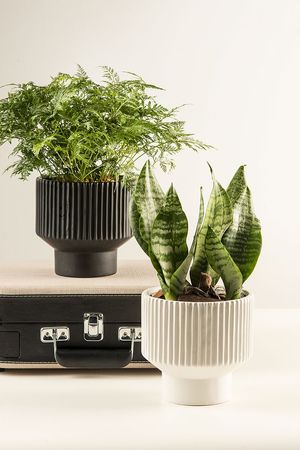 Vaso Cerâmica com Base Branco