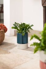 Vaso-Autoirrigavel-Alto-Em-Ceramica-Azu