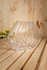 Vaso-Concha-Transparente