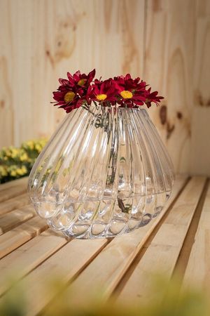 Vaso Concha Transparente
