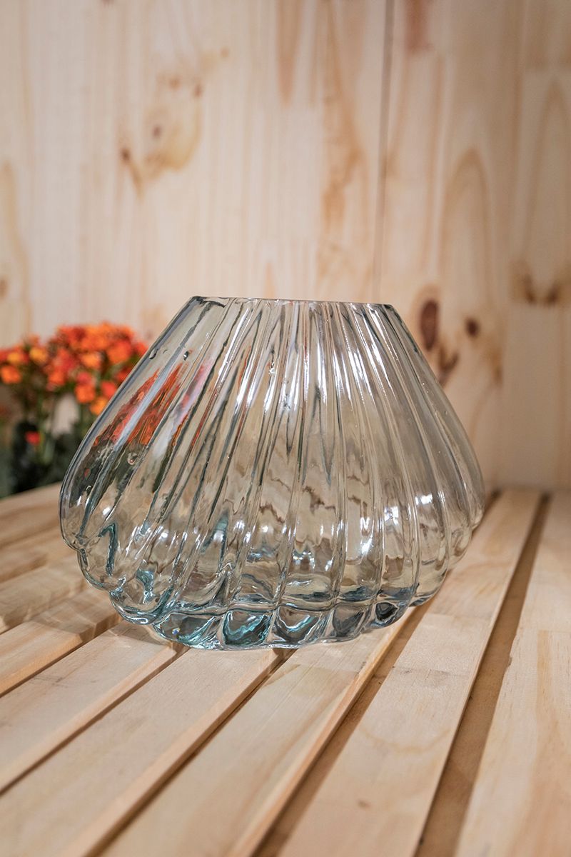 Vaso-Concha-Azul