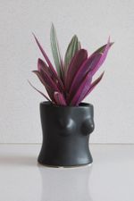 Vaso-Busto-Preto