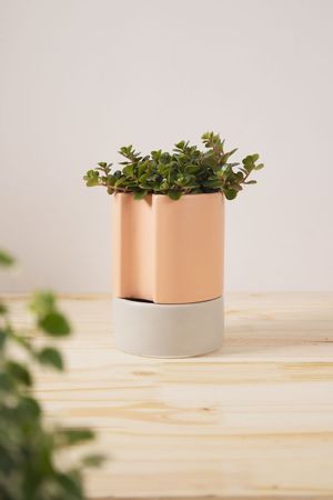 Vaso Autoirrigavel Alto Em Ceramica Ros