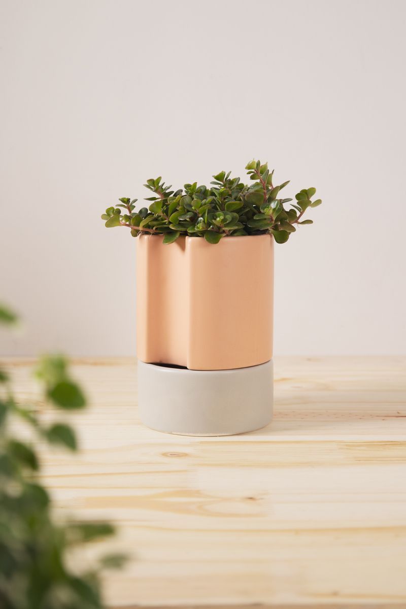 Vaso-Autoirrigavel-Alto-Em-Ceramica-Ros