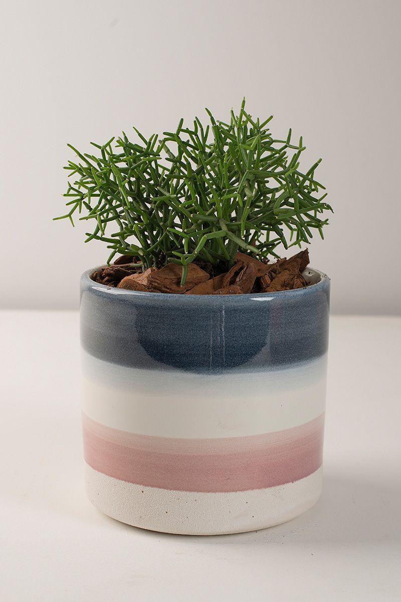 Vaso-Ceramica-Tons-de-Azul-E-Rosa