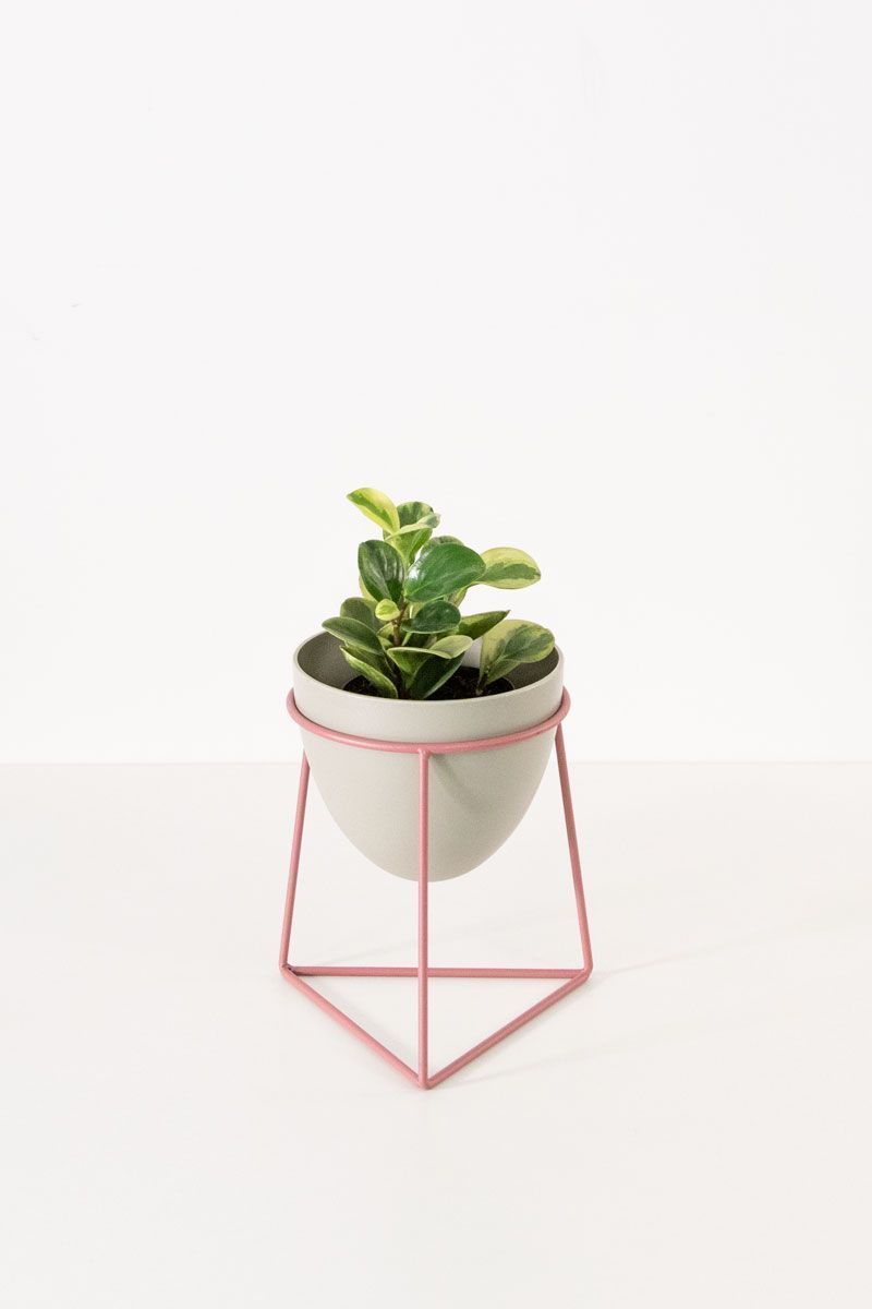 Vaso-com-Tripe-Triangulo-Rosa-P