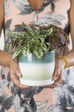 Vaso-Ceramica-Tons-de-Verde