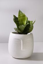 Vaso-Cachepot-Rosto-Branco