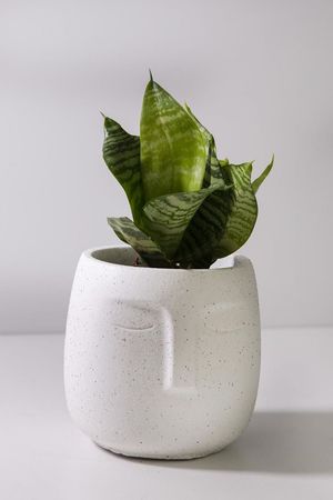 Vaso Cachepot Rosto Branco