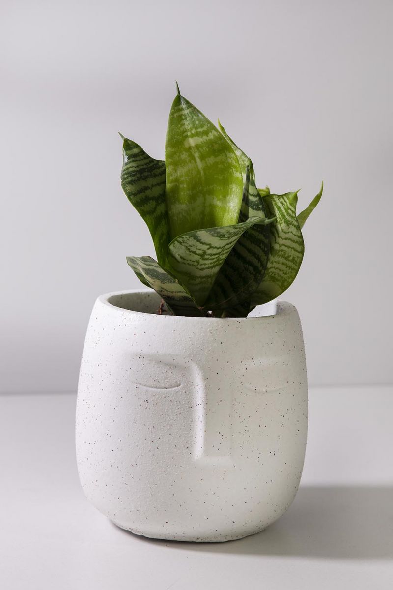 Vaso-Cachepot-Rosto-Branco