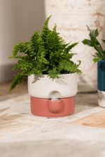 Vaso-Autoirrigavel-Em-Ceramica-Terracot