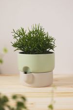 Vaso-Autoirrigavel-Em-Ceramica-Verde