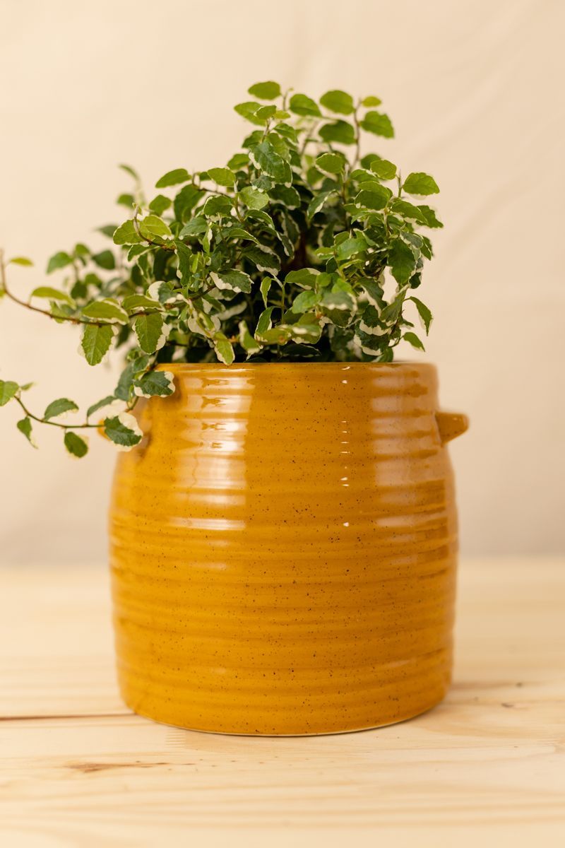 Vaso-Glaze-Amarelo-M