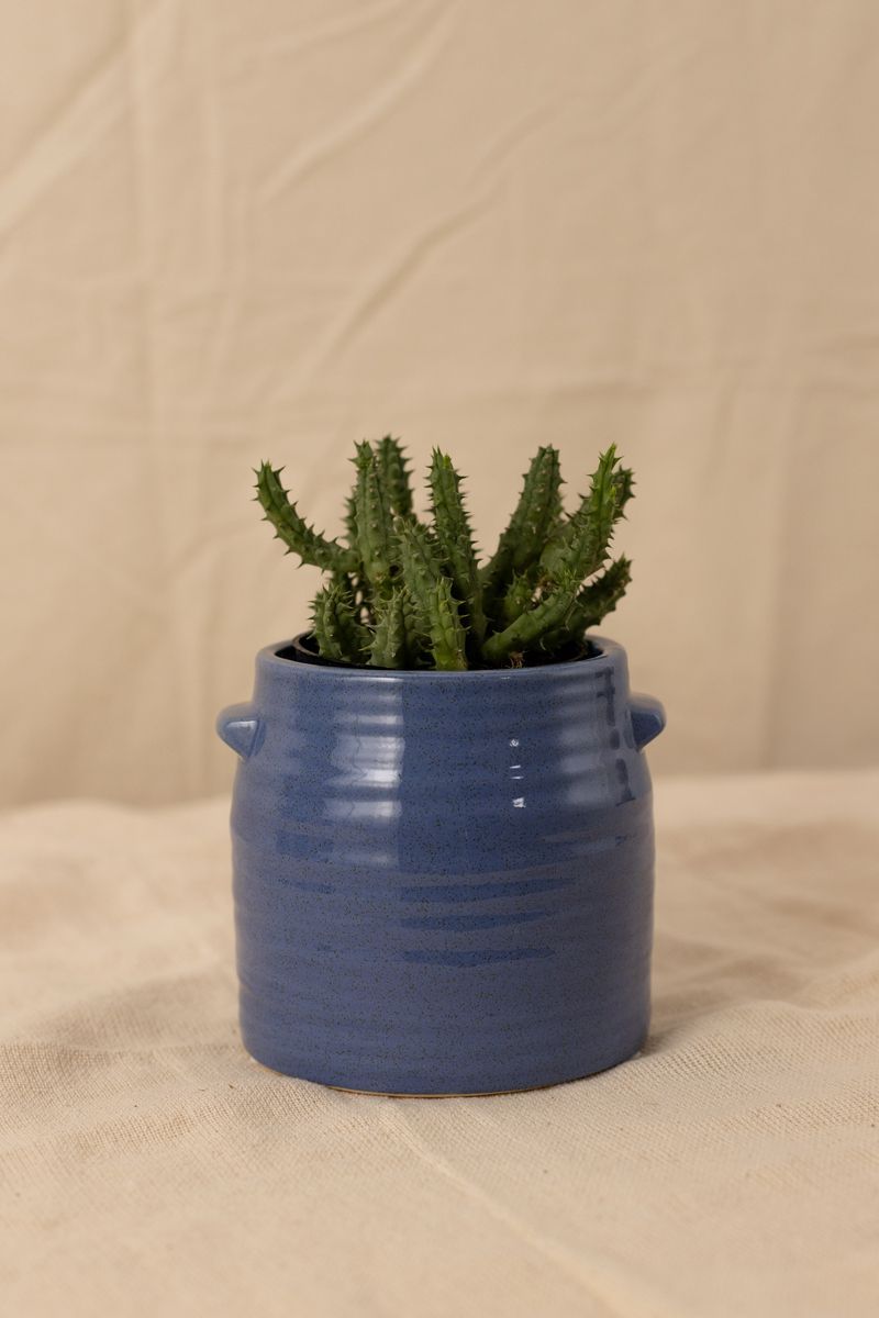 Vaso-Glaze-Azul-P