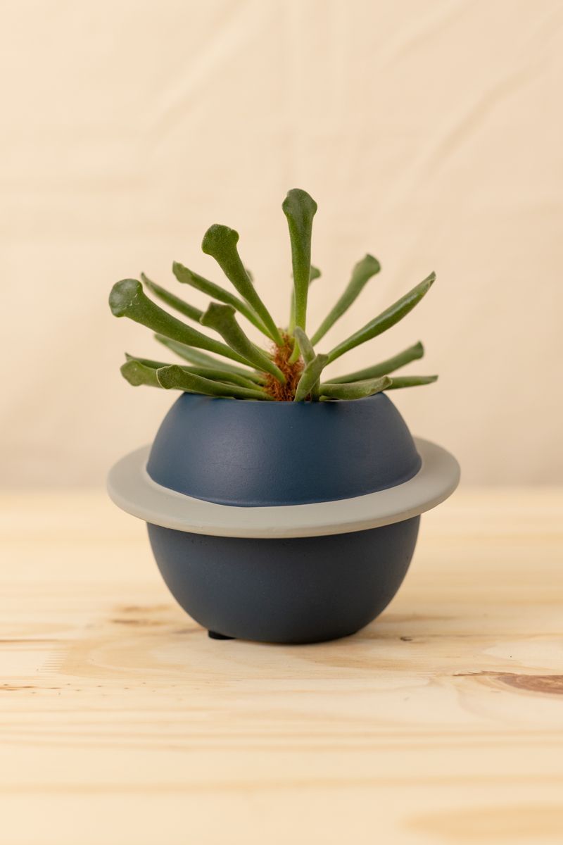 Vaso-Saturno-Azul