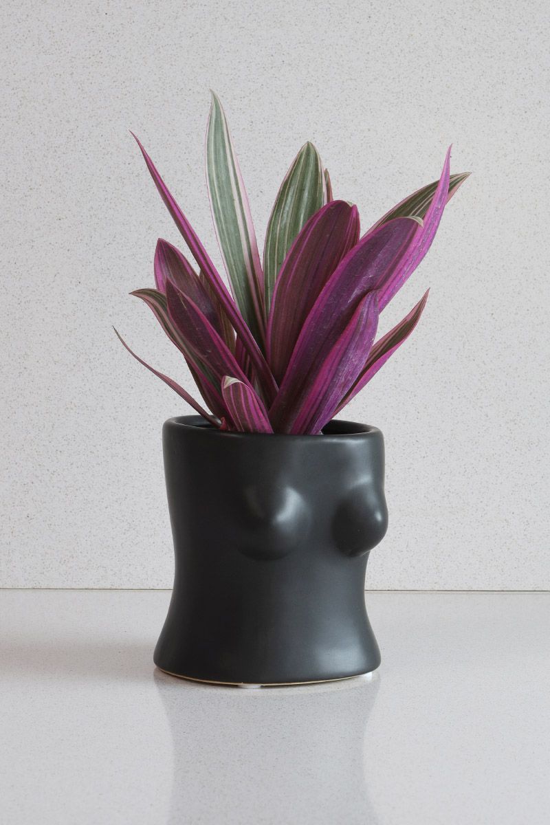 Vaso-Busto-Preto