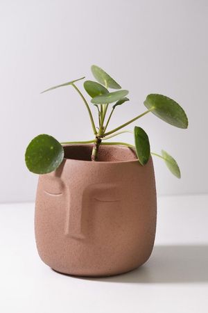 Vaso Cachepot  Rosto Terracota