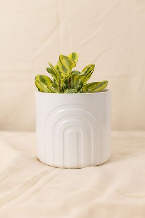 Vaso Arcos Off White P