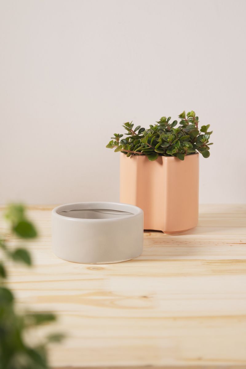 Vaso-Autoirrigavel-Alto-Em-Ceramica-Ros
