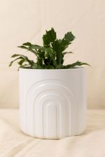 Vaso-Arcos-Off-White-G