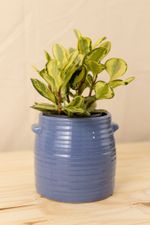 Vaso-Glaze-Azul-M