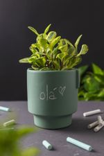 Vaso-Fosco-Verde-M