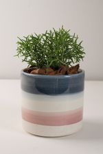 Vaso-Ceramica-Tons-de-Azul-E-Rosa