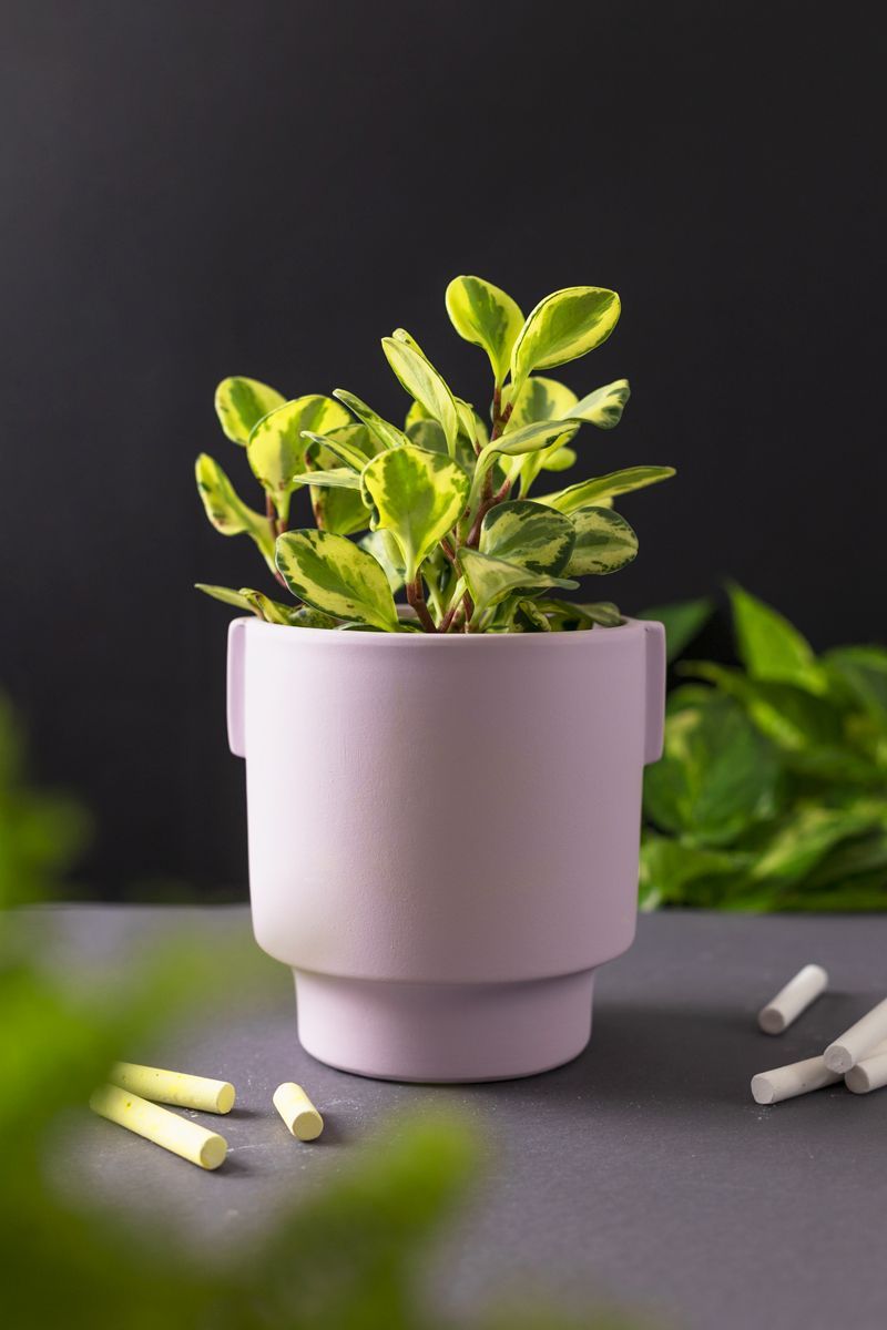 Vaso-Fosco-Lilas-M