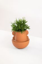 Vaso-Abas