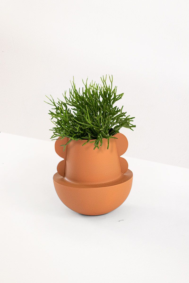 Vaso-Abas