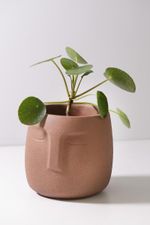 Vaso-Cachepot--Rosto-Terracota