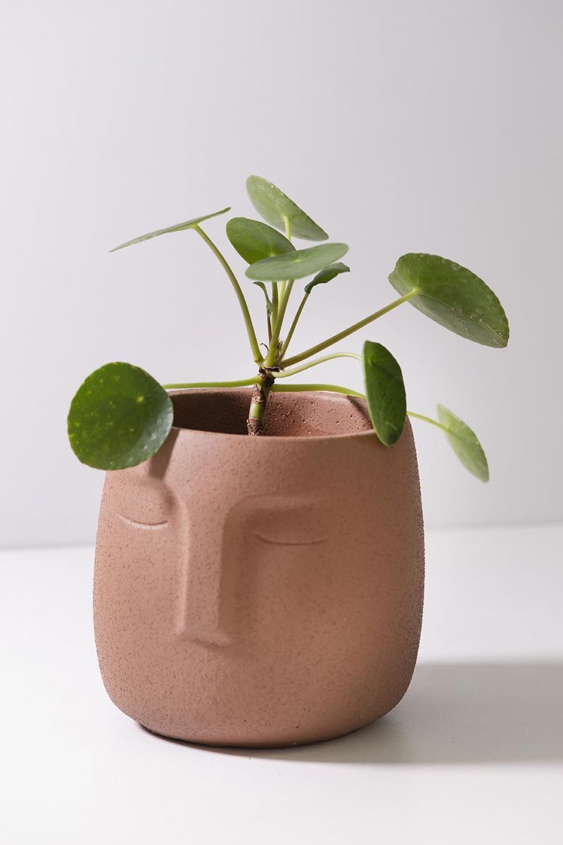Vaso-Cachepot--Rosto-Terracota
