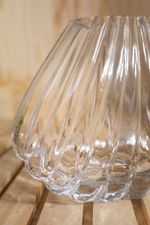 Vaso Concha Transparente