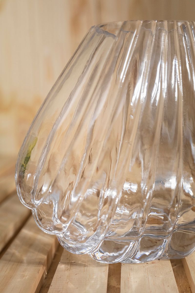 Vaso Concha Transparente