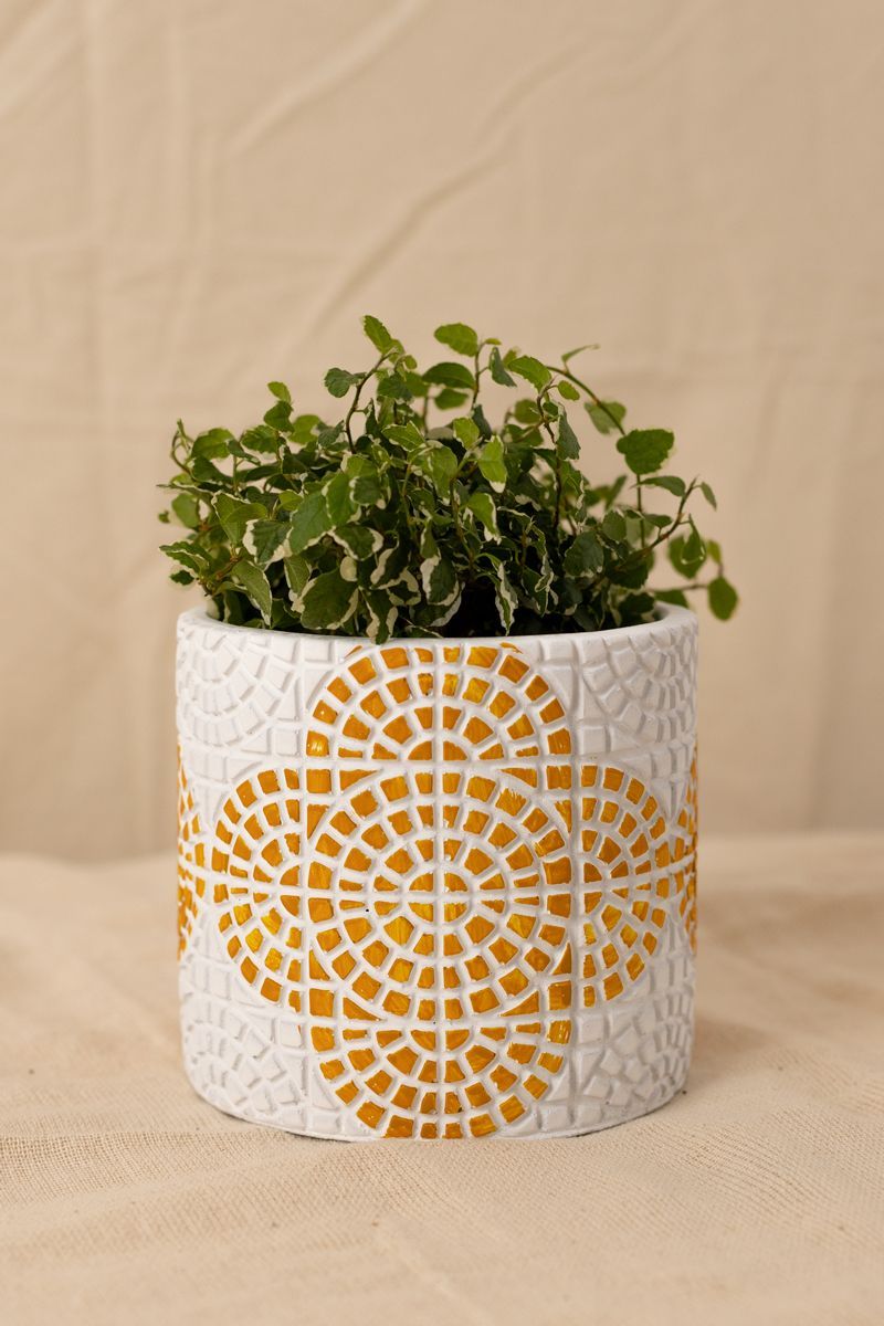 Vaso Ladrilho Amarelo M